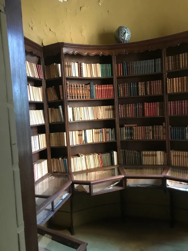 Narożna biblioteka z drewnianymi regałami pełnymi książek